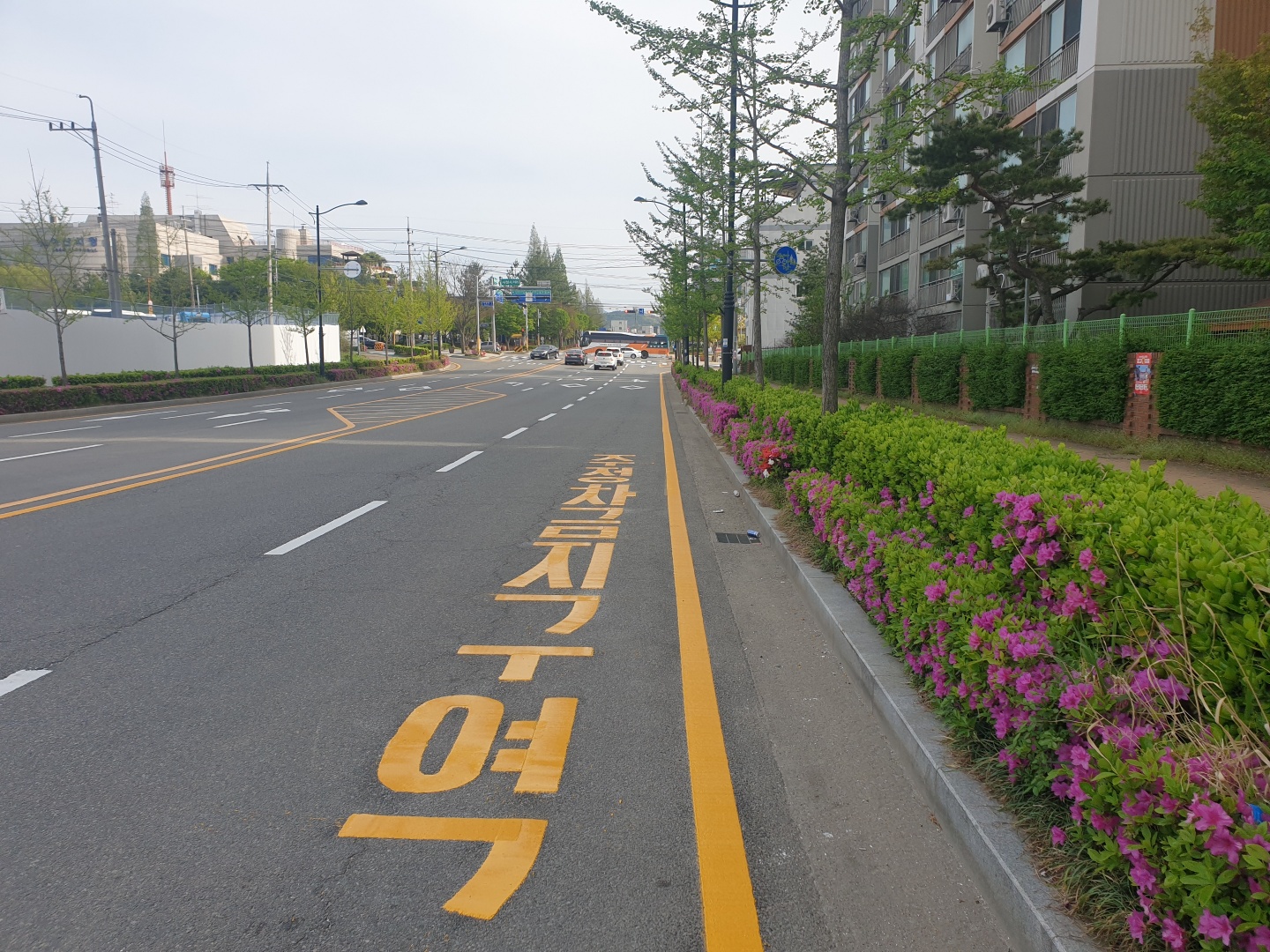 /user/s/sungwonsafety/editor/2204/fda85cdd276858d8b6351ef91d159207_1650937783_9978.jpg 이미지크게보기