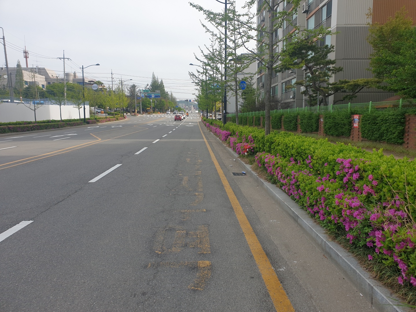 /user/s/sungwonsafety/editor/2204/fda85cdd276858d8b6351ef91d159207_1650937784_2134.jpg 이미지크게보기